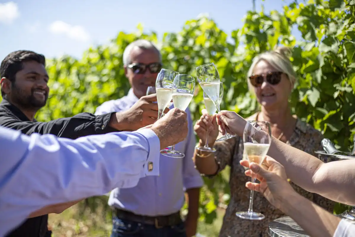 Woodchester Valley Vineyard